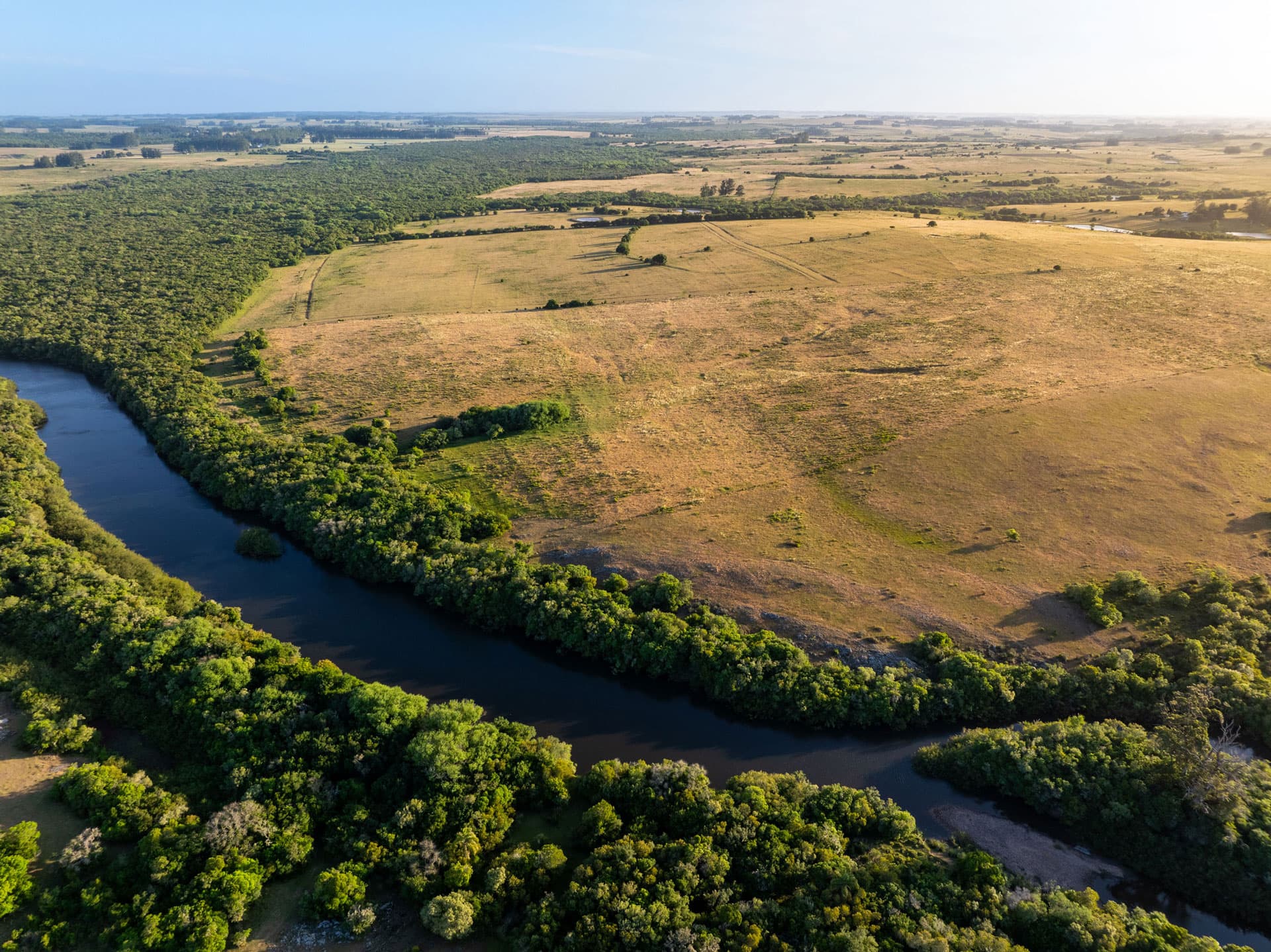 https://api.biosfera-austral.com/wp-content/uploads/2024/12/Copia-de-Campo-I_Asierfilms-38.jpg